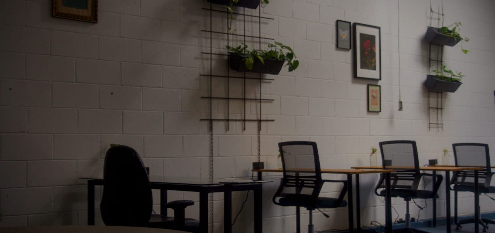 Hydeout Bellingen coworking space interior